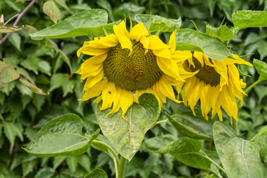 Similar image 21551876