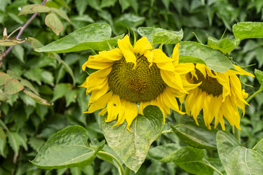 Similar image 21551877