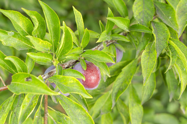 Similar image 21551878