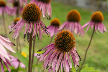 Similar image 21551879