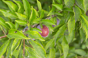 Similar image 21551880