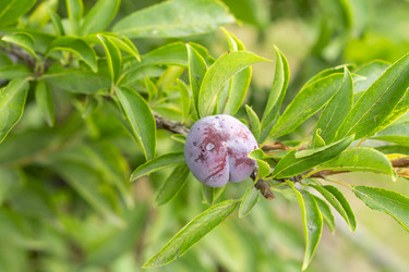 Similar image 21551881