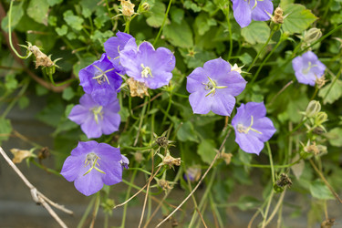 Similar image 21551882