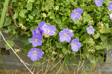 Similar image 21551883