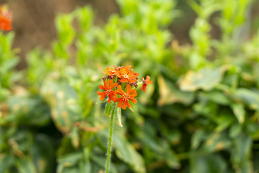 Similar image 21551884