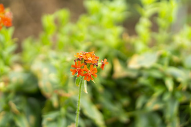 Similar image 21551885