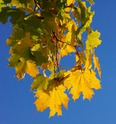 Similar image 21551896