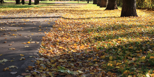 Similar image 21551904