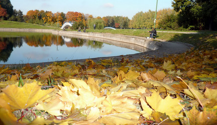 Similar image 21551907