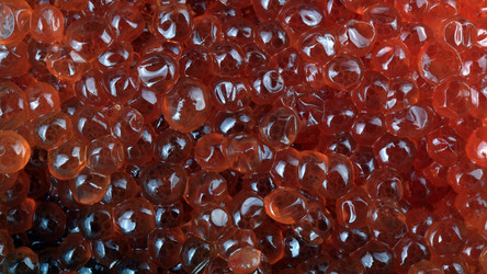 Similar image 21551916