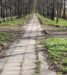 Similar image 21551920