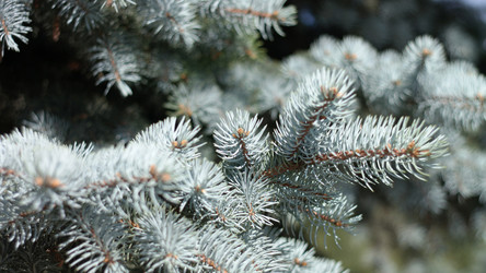 Similar image 21551928