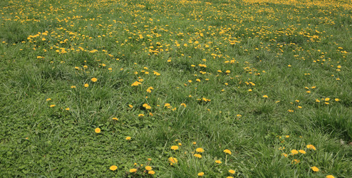 Similar image 21552044