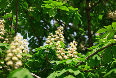 Similar image 21552048