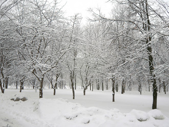 Similar image 21552051