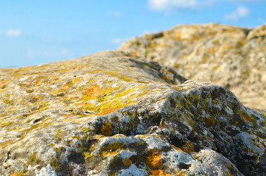 Similar image 21553957