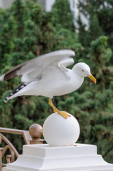 Similar image 21553959