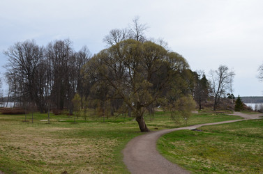 Similar image 21551616