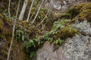 Similar image 21551628