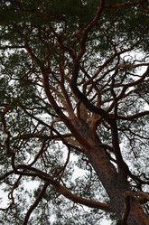 Similar image 21551630