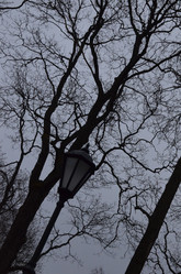 Similar image 21551631