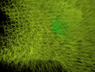 Similar image 21624550