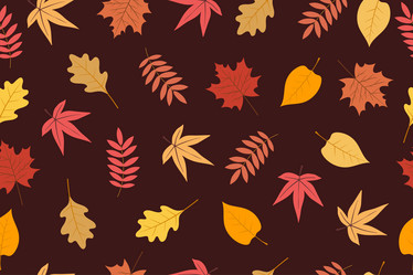 Similar image 21628458