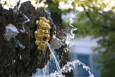 Similar image 21556272