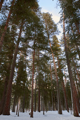 Similar image 21551649