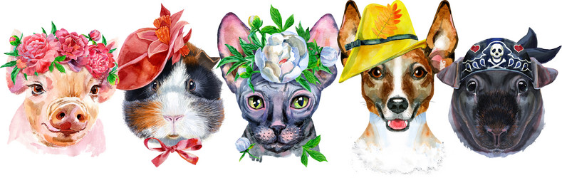 Similar image 21553884