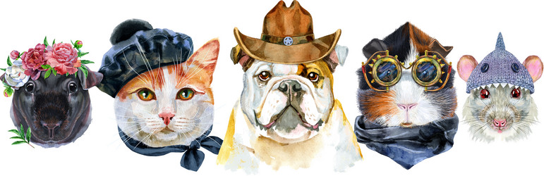 Similar image 21553885