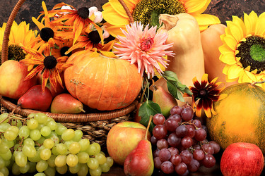 Similar image 21551662