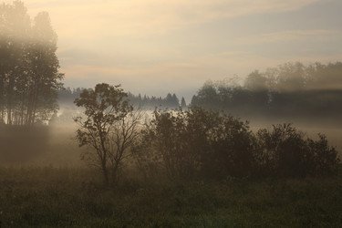 Similar image 21552719