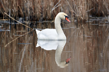 Similar image 21552059