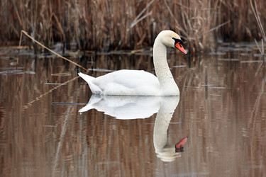 Similar image 21552060