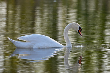 Similar image 21552061