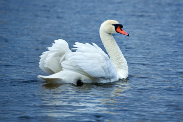 Similar image 21552065