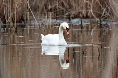 Similar image 21552067