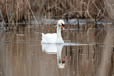 Similar image 21552068