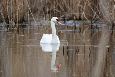 Similar image 21552071