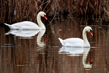 Similar image 21552072