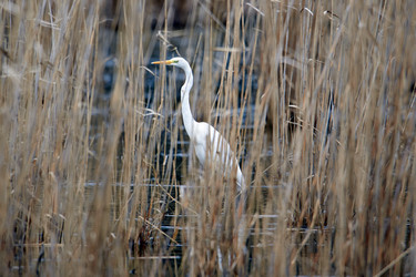 Similar image 21552073