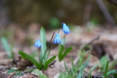 Similar image 21552074