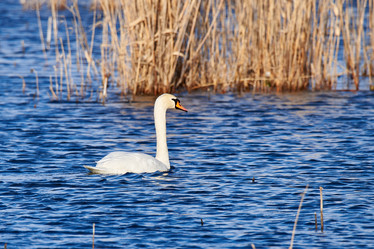 Similar image 21552075