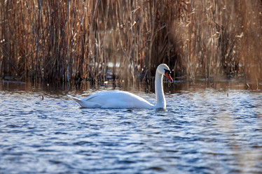 Similar image 21552076