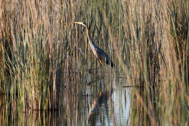 Similar image 21552077