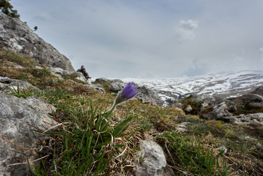 Similar image 21552078