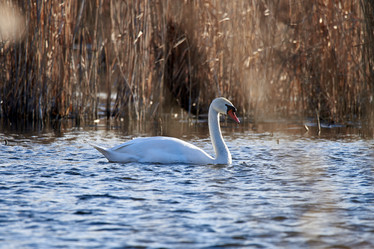 Similar image 21552079