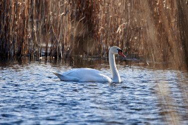 Similar image 21552080