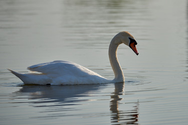 Similar image 21552081